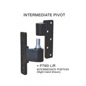  Intermediate Pivot Set 
